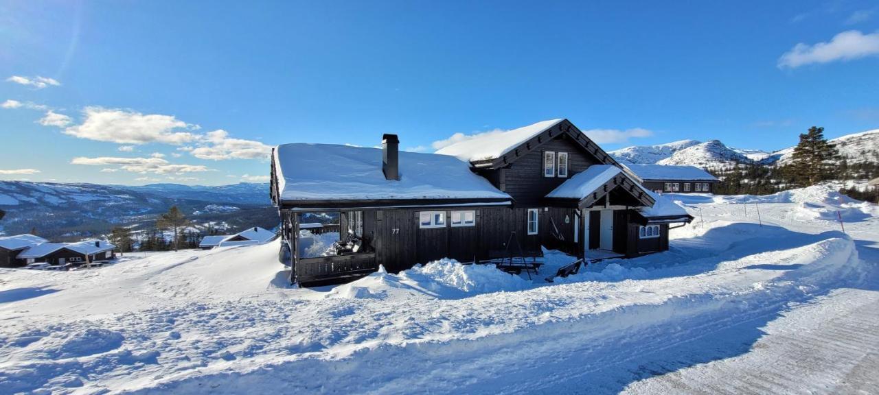 Wonderful Cabin With Amazing Mountain - View Lifjell Zewnętrze zdjęcie