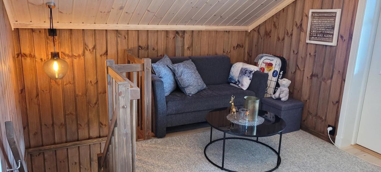 Wonderful Cabin With Amazing Mountain - View Lifjell Zewnętrze zdjęcie