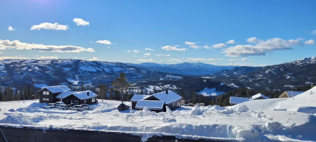 Wonderful Cabin With Amazing Mountain - View Lifjell Zewnętrze zdjęcie