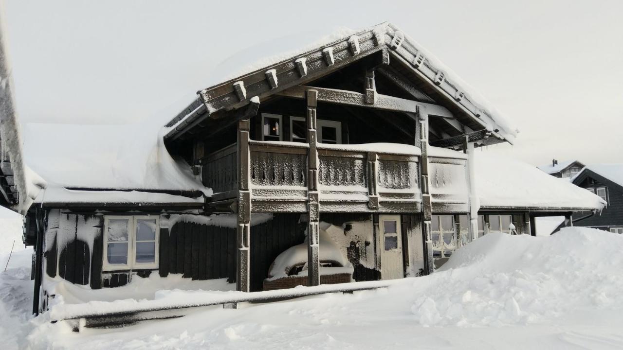 Wonderful Cabin With Amazing Mountain - View Lifjell Zewnętrze zdjęcie