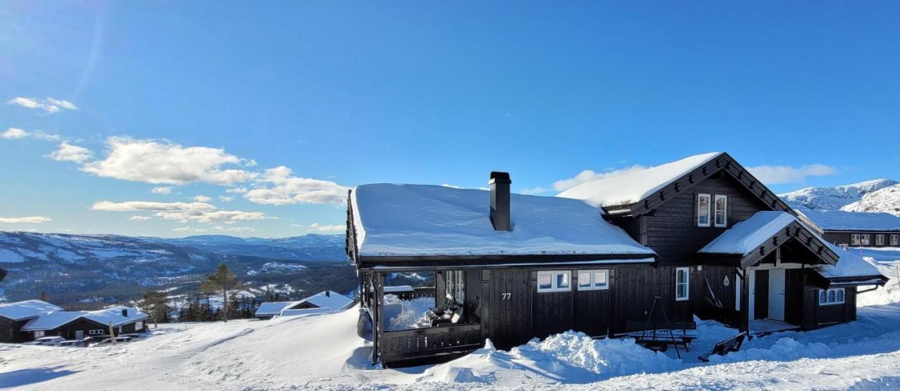 Wonderful Cabin With Amazing Mountain - View Lifjell Zewnętrze zdjęcie